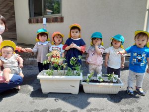 「苗植え」と「絵の具あそび」