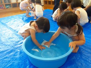 ひまわりの種まき＆寒天あそび